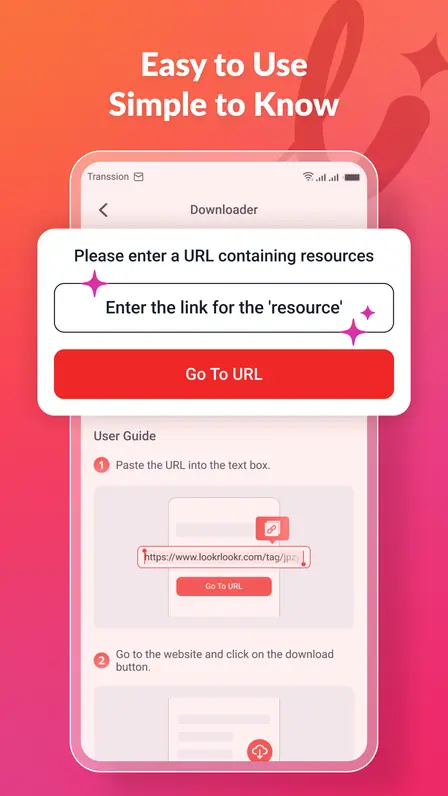 Lookr app downloader screen with URL paste field and Go To URL button